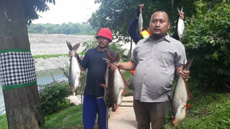 Ini Program Baru untuk Solusi Budidaya Ikan di Waduk Jatiluhur