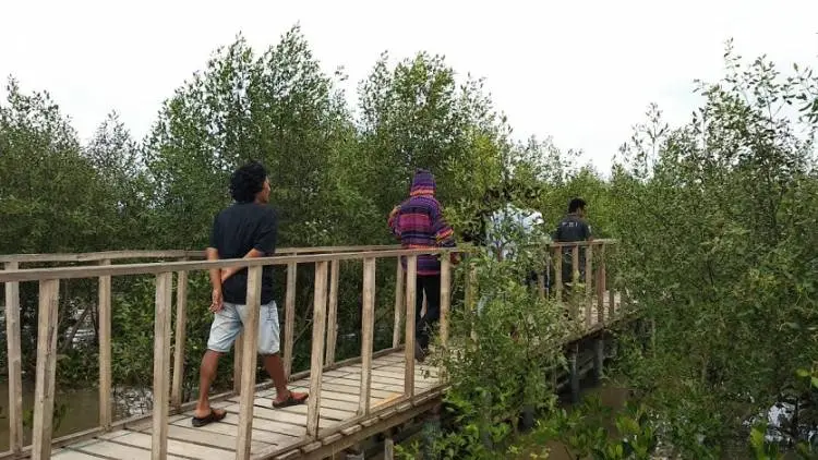 Hutan Mangrove di Pesisir Karawang Jadi Destinasi Ekowisata