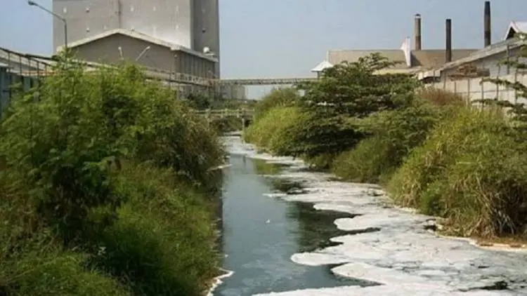 Tim Kecebong Siaga Bersihkan Sampah di Sungai 