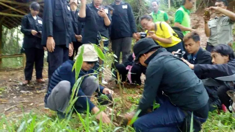 Citarum Akademi Tanam Bambu di Hutan