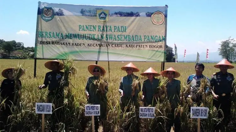 Perda Sawah Abadi Disampaikan Tahun Depan