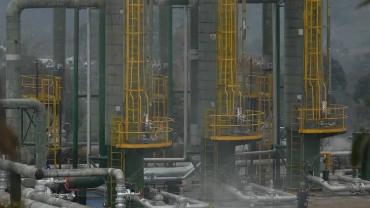 LIPI Kaji Pemanfaatan Lahan Marjinal untuk Produksi Energi Baru
