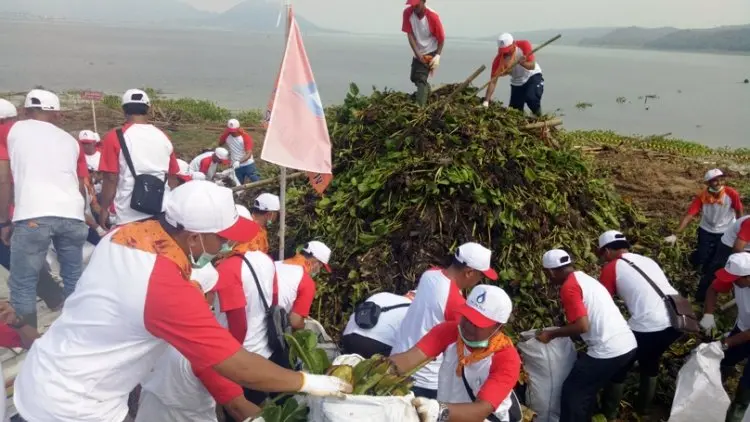 Pegawai PJT II 'Bebersih' Eceng Gondok di Waduk Jatiluhur