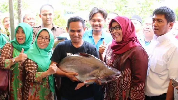 Pujian untuk Minapolitan Bogor