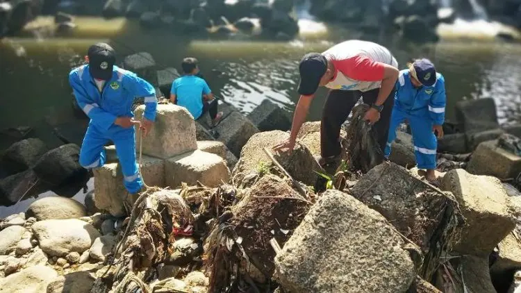 Mumpung Lagi Surut, Warga Membersihkan Sampah di Area Katulampa