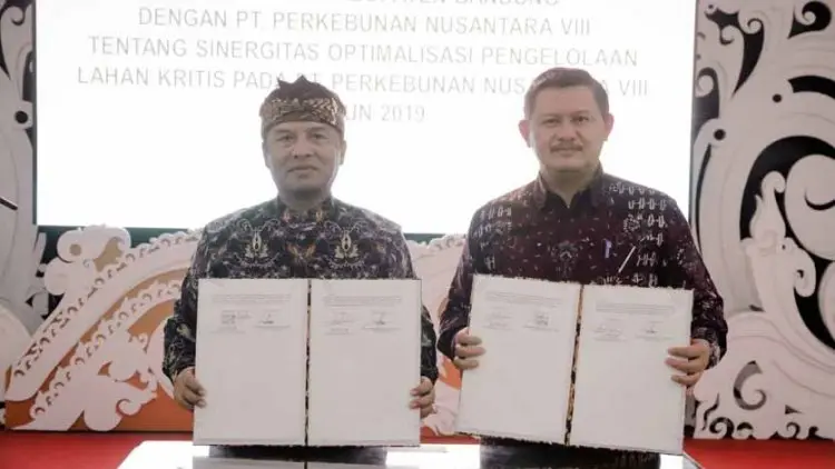 Pemkab Bandung Akan Hijaukan Kembali 3.000 Ha Lahan Kritis PTPN VIII