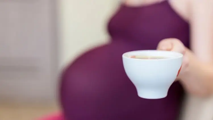 Ibu Hamil Bisa Minum Kopi Kok, Asal...