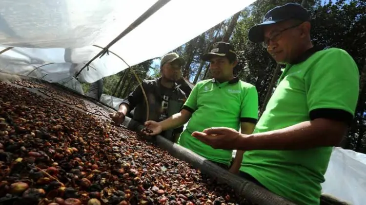 Laba PT Len Industri Tumbuh 117 Persen