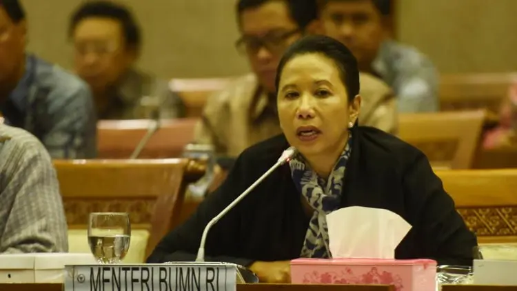 Menteri BUMN Ajak Milenial Memanfaatkan Linkaja
