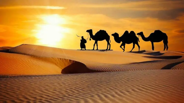 Kisah Ali bin Abi Thalib dan Abu Dzar