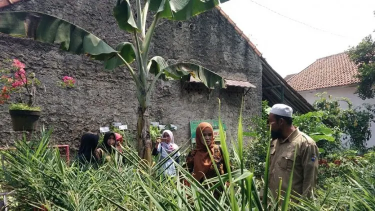Distan Bogor Fokus Bina Kebun Organik Herbal