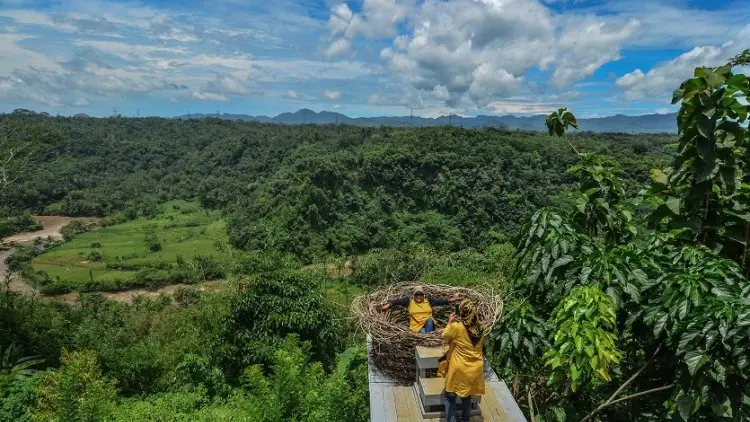 Bogor Rajanya Geothermal di Indonesia