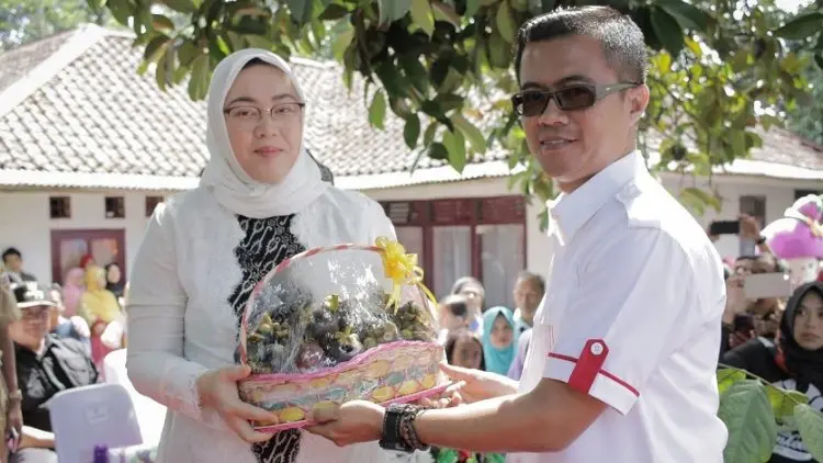 Lewat Festival, Manggis Purwakarta Siap Go Internasional