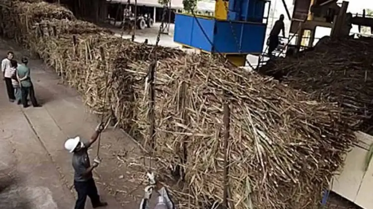 Tekan Impor, Kemenperin Bakal Dirikan 12 Pabrik Gula Baru