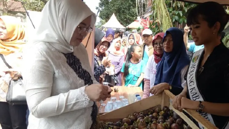 Upaya Bupati Anne Populerkan Buah Manggis Purwakarta