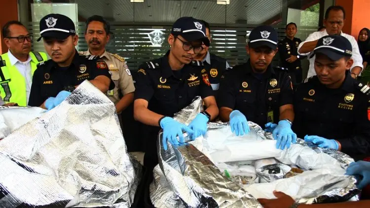 Terciduk, Penyelundup Benih Lobster Rp8,75 M di Bandara Husein Bandung