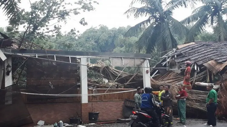 Seorang Tewas Tertimpa Pohon Tumbang di Depok