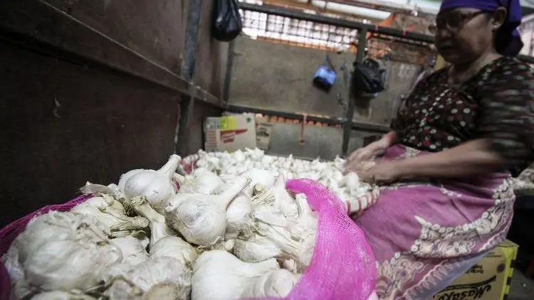 Impor Bawang Putih Bulog Timbulkan Moral Hazard