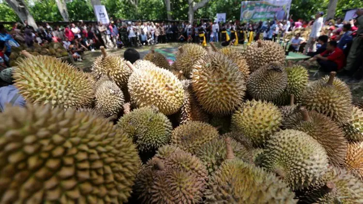 Cuma Mitos Durian Mengandung Kolesterol Tinggi