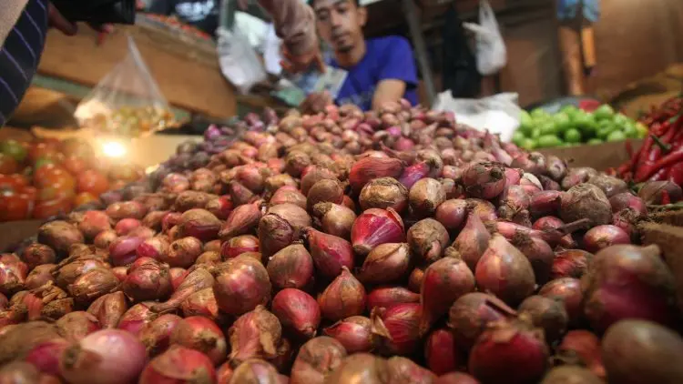 Komoditas Bawang Jadi Perhatian Khusus Pemkab Garut