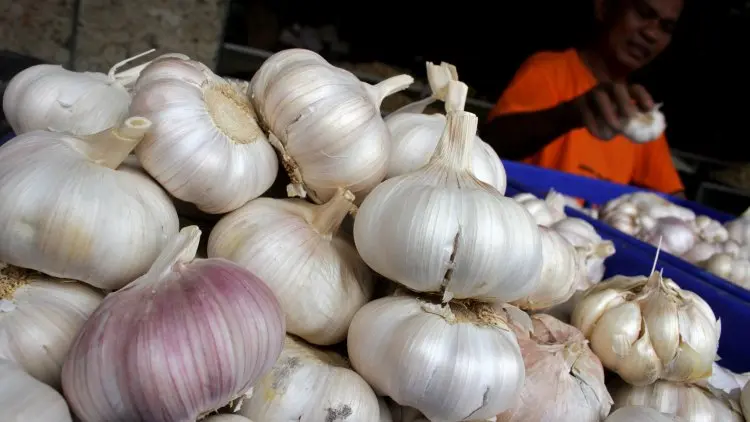 60.000 Ton Bawang Putih China Serbu Pasar Lokal