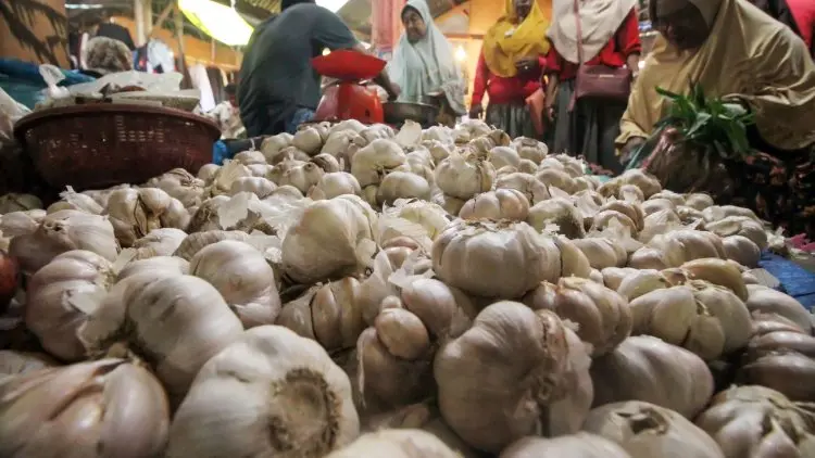 Harga Bawang Putih di Indramayu Tembus Rp60 Ribu per Kilogram