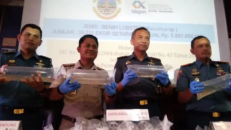 Petugas Gagalkan Penyelundupan Benur Senilai Rp5,8 M
