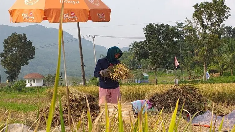 Menghadapi Revolusi Industri 4.0, DKP Bogor Bikin Aplikasi B2SA