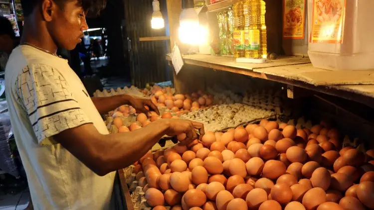 Mentan Heran, Stok Telur Berlimpah tapi Harga Mahal