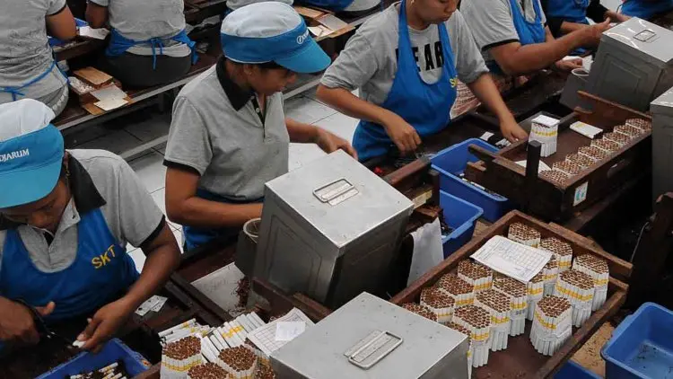 Produksi Rokok Anjlok, Penerimaan Negara Melorot