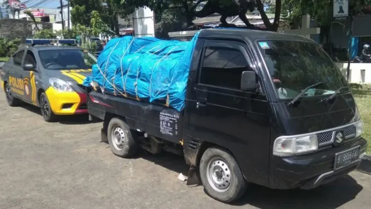Curiga Bawa Mie Glosor Berformalin, Polsek Ciawi Amankan Pikap