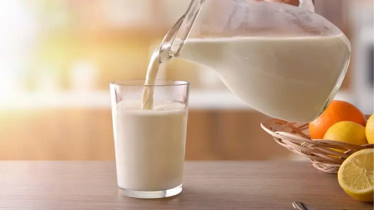 Baik Konsumsi Susu Saat Sahur dan Berbuka