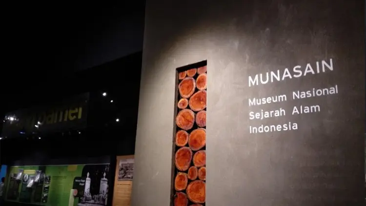Kenali Aneka Ragam Hayati di Museum Munasain