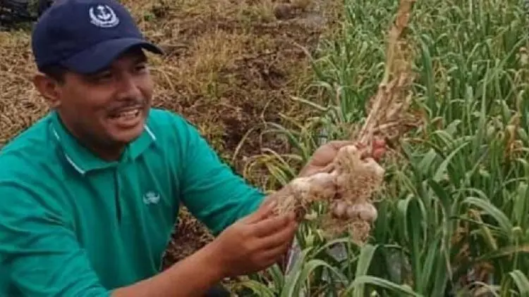 Sukabumi Dukung Swasembada Bawang Putih Pada 2021