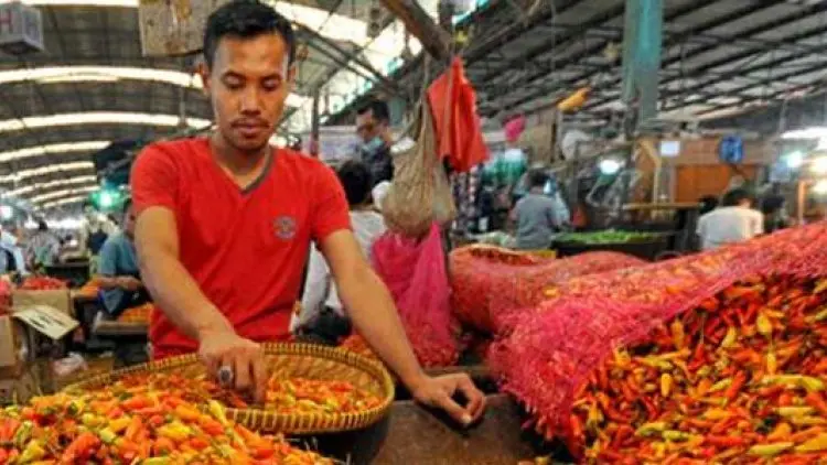 Busyet, Cabai Rawit di Raja Ampat Dibanderol Rp130 ribu/kg