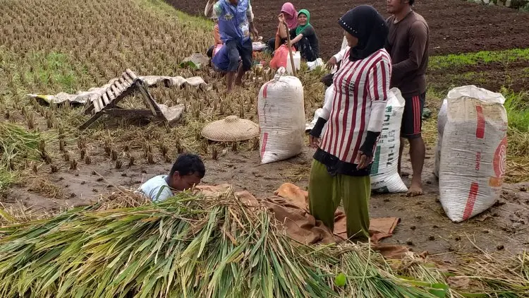 DPRD Jabar Imbau Dukung Penerbitan Perda LP2B dan Ketahanan Pangan