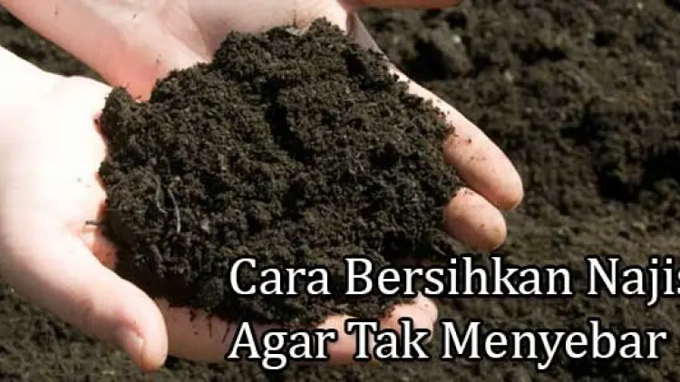 Cara Bersihkan Najis Agar Tak Menyebar