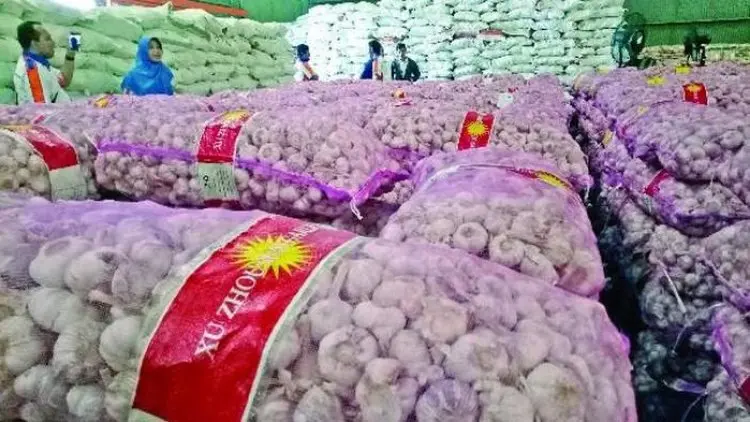 Penugasan Impor Bulog Ganggu Keadilan Bawang Putih