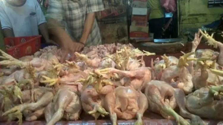 Ini Hukuman Bagi Pedagang Ayam Tiren Atau Daging Oplosan