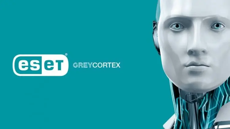 Kenali Risiko dengan Analisis GreyCortex Jaringan