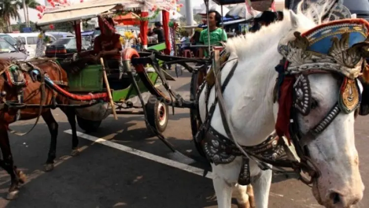 Pemkab Garut Larang Delman Beroperasi di Jalur Mudik Lebaran