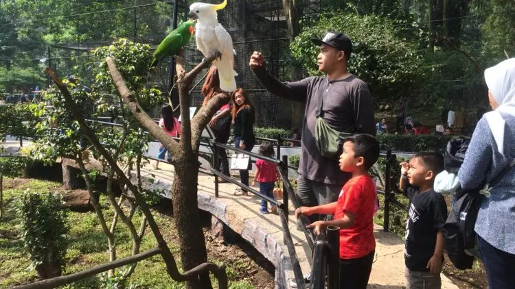 15 Ribu Pengunjung Padati Bandung Zoo