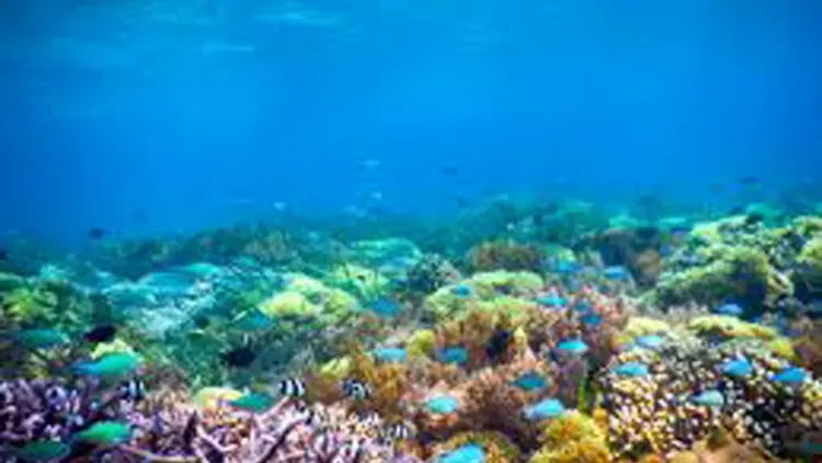 Video Relaksasi Terbaru: Tonton 10 Jam Pemandangan Laut