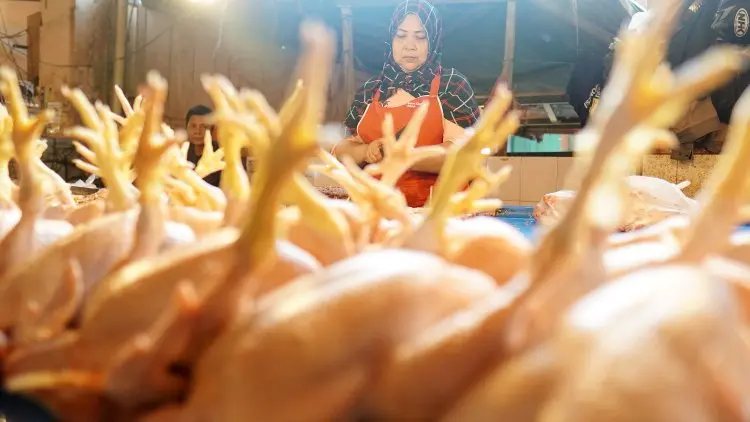 Di Kampung Halaman Jokowi, Daging Ayam Mahal Banget