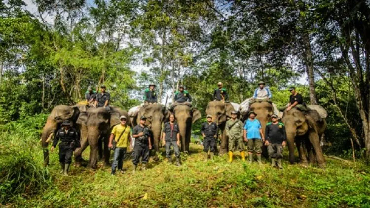 Mereka Berlebaran Bersama Gajah