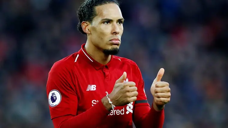 Ryan Babel: Van Dijk The Next Fabio Cannavaro