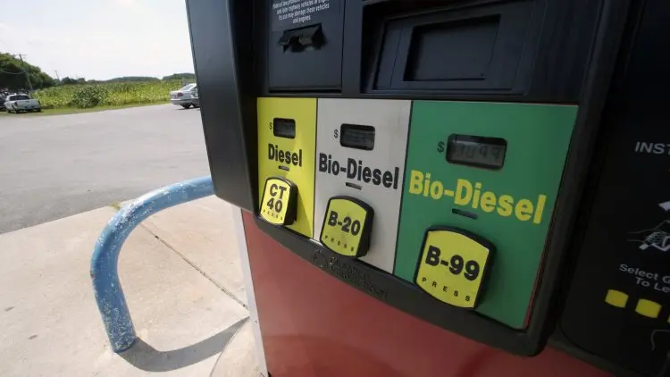 KESDM: Harga Biodiesel Turun dan Bioetanol Naik