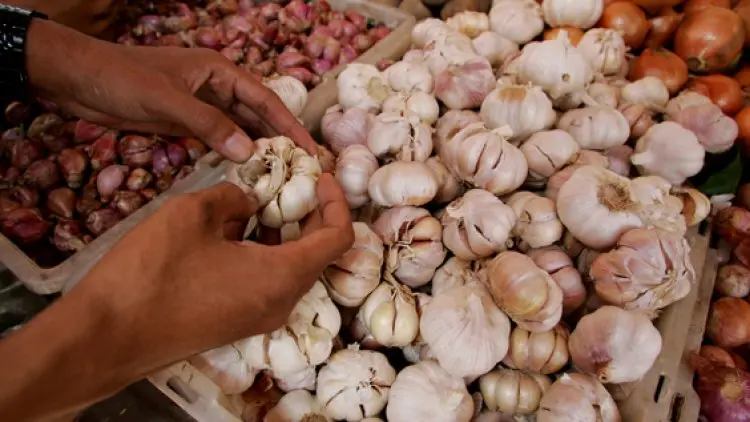 Kemendag Beri Izin Impor 256 Ribu Ton Bawang Putih