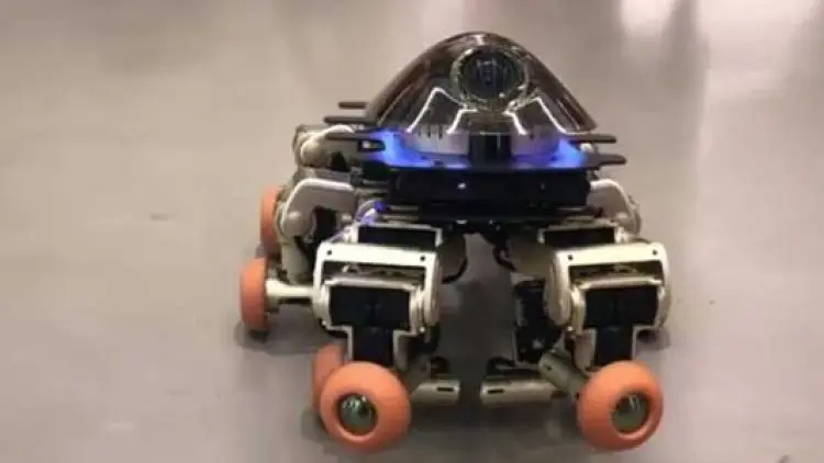 Robot Kepiting yang Dapat Berubah-ubah Bentuk