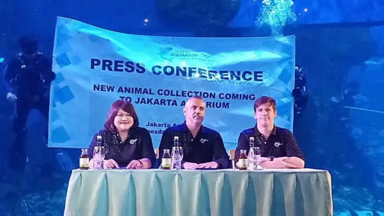 Kini Hadir, Tiga Hewan Unik dan Aneh di Jakarta Aquarium